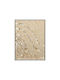 Shells Painting Fylliana Fl55923 White-Beige 60x80 cm 6 Pieces