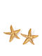 Gold Starfish Stud Earrings in Steel