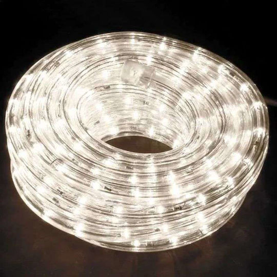 Cold White Light Tube with Programs 10m