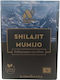 Mumijo Shilajit Nectar Purified Altai Mumijo