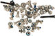 Complete Screw Set Iphone 12