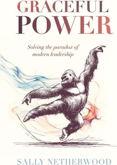 Graceful Power - Practical Inspiration Publishing - Paperback / Softback