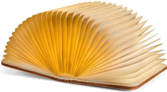 Decorative Illuminated Book Decorative Illuminated Book