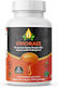Elixirio Облепиха 500 mg 60 меки капсули