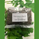 Agrosmart Arugula Seeds 18g