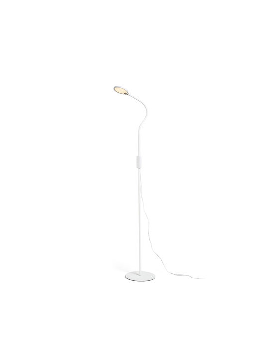 Rendl Light Studio Celeste LED Floor Lamp with ...