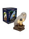 Enarxis Decorative Light Fixture