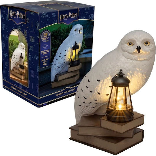 Enarxis Decorative Light Fixture