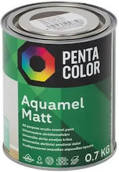 Pentacolor Акрилна боя Aquamel 0,7 л Тъмнокафяв...