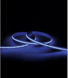 Cubalux 24V LED Strip Blue Light