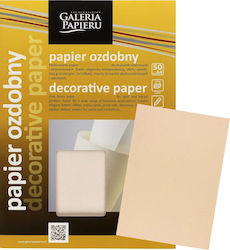 Galeria Papieru A4 Paper 110 gsm 50 Sheets Beige 206903 Galeria Papieru A4 Paper 110 gsm 50 Sheets Beige 206903