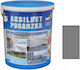Grey Floor Paint 5 Litre