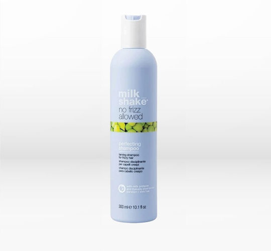No Frizz Allowed Glättendes Glanz-Shampoo 300 ml
