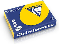 Clairefontaine Златист Картон A4 160 Gsm 250 Листа Пакет Clairefontaine Златист Картон A4 160 Gsm 250 Листа Пакет