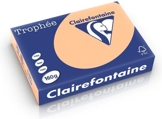 Clairefontaine Apricot-colored A4 Cardstock 160 Gsm 250 Sheets Ream