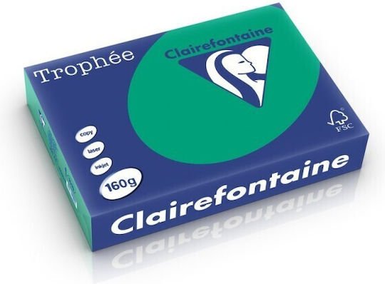 Clairefontaine A4 Cardstock 160 Gsm Intense Colour 250 Sheets Ream Dark Green