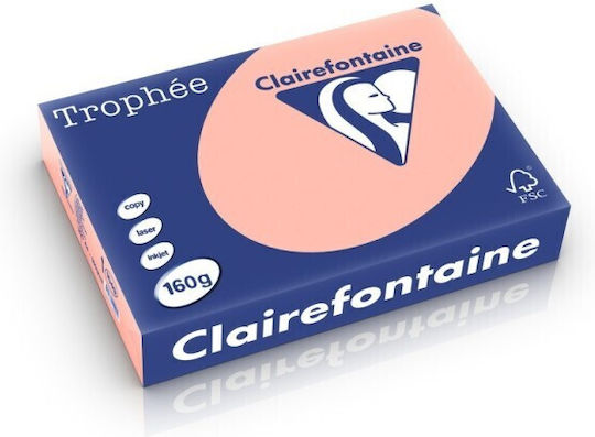 Clairefontaine Peach Pastel-colored A4 Cardstock 160 Gsm 250 Sheets Ream