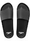 Slides Negri