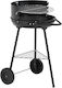 BBQ Collection Grătar cu Cărbune 70x70cm
