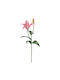 Artificial Flower 56cm Emerald Lily Pink 433647