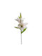 Изкуствено цвете 65 см Emerald Lily Бяло 418064