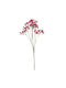 Изкуствено Цвете 68 см Emerald Gypsophila Фуксия 429609