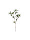 Τεχνητό Κλαδί 90εκ Emerald Laurel Green 432086