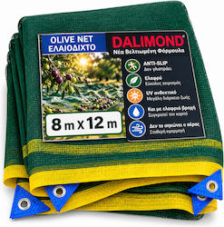 Dalimond Ελαιόδιχτο Dalimond Ελαιόδιχτο