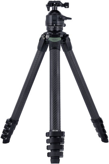 Rollei Stativ mit Kugelkopf bis 91,44 cm und Belastbarkeit von 25 kg