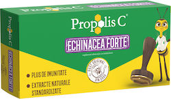 Fiterman Pharma Propolis C + Ехинацея Форте 30 Таблетки Fiterman Pharma Propolis C + Ехинацея Форте 30 Таблетки