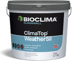 Kraft Decorative Paint White 5kg JC62106K10115