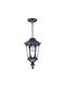 Maytoni Oxford Outdoor Ceiling Pendant Light in Black S101-10-41-B