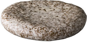 Raw Shallow Grey Ceramic Plate with a Diameter of 15.8 cm, 6 Pieces