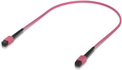 Ubiquiti Optical Fiber Cable 0.5m Pink Ubiquiti Optical Fiber Cable 0.5m Pink
